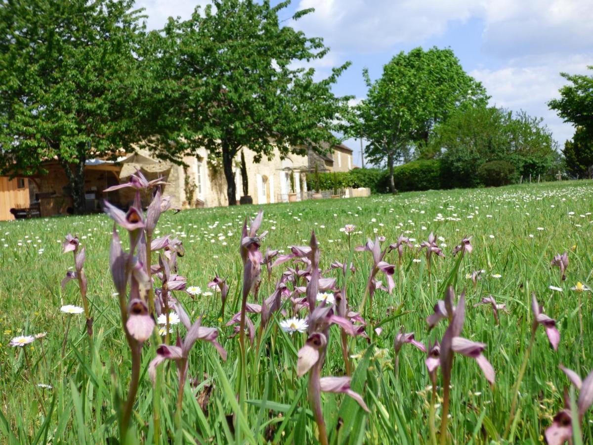Britavit Bed & Breakfast Saint-Avit-Senieur Exterior photo