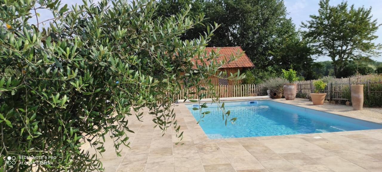 Britavit Bed & Breakfast Saint-Avit-Senieur Exterior photo
