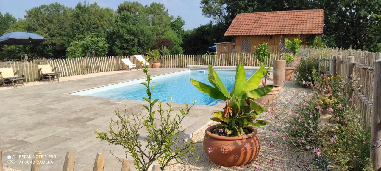 Britavit Bed & Breakfast Saint-Avit-Senieur Exterior photo